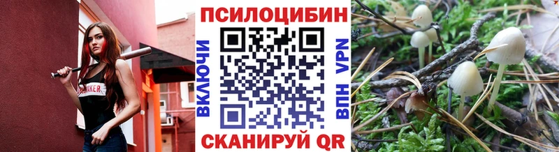 omg tor  Гурьевск  Псилоцибиновые грибы мицелий 